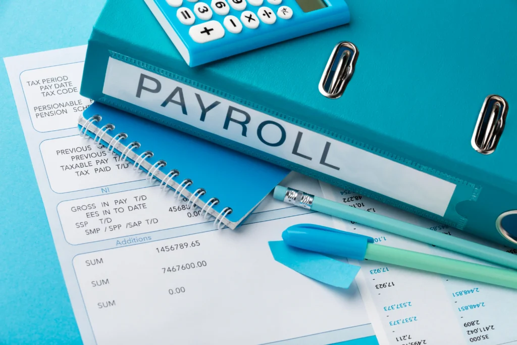 payroll management software