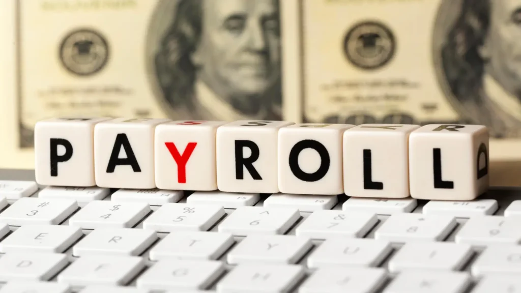Payroll Software Pricing in India: What Affects the Total Cost